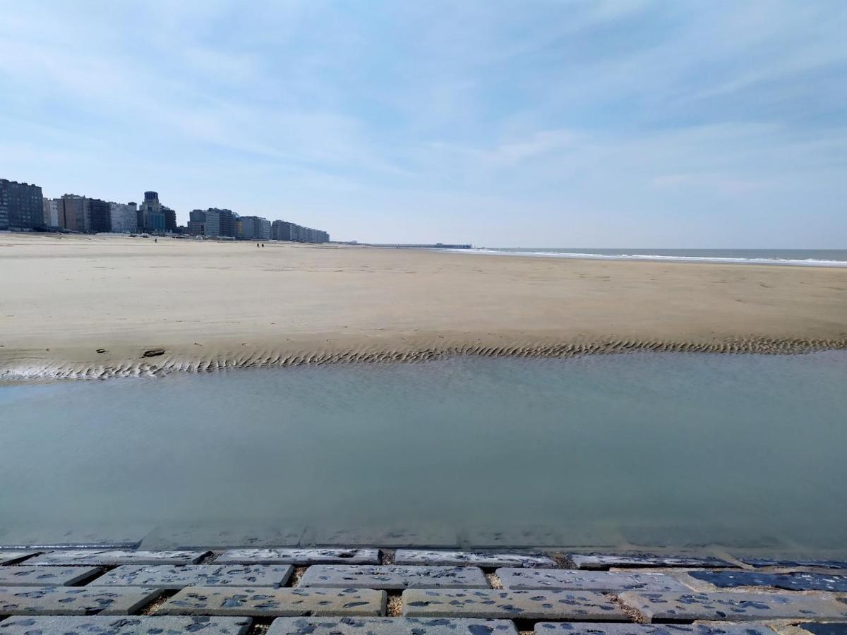 Appartement Douze Mer 블랑켄베르크 외부 사진